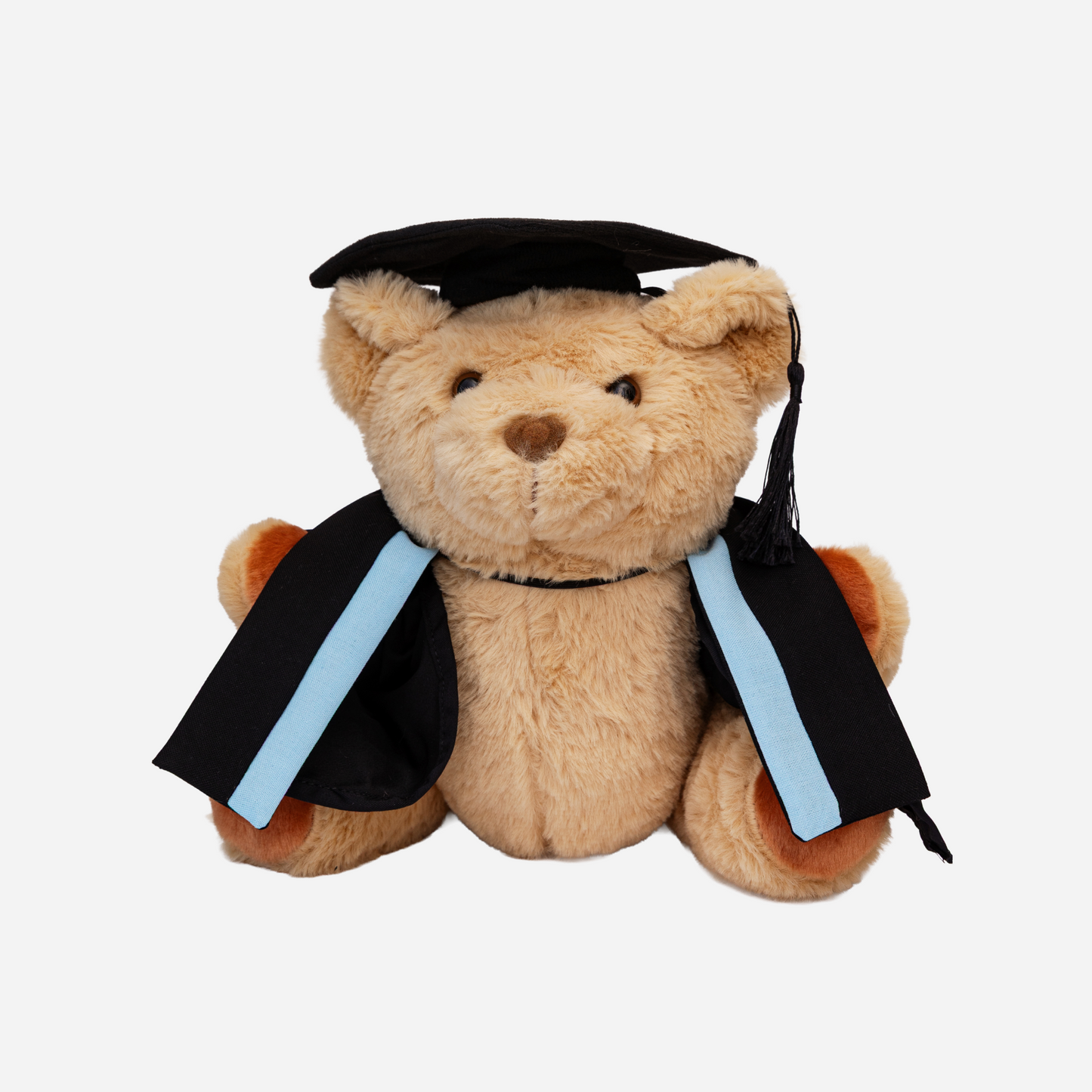 William Bear - Diploma